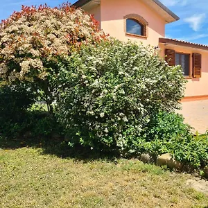 Montepulciano - La Casetta Del Pian Delle Noci Acquaviva (Montepulciano)
